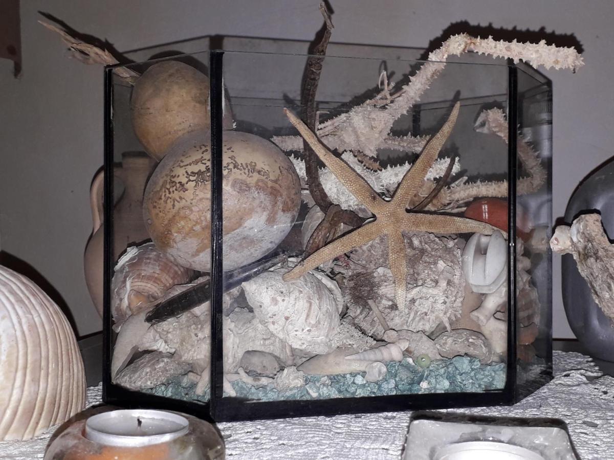 Holiday Home Stiniva 维斯 外观 照片